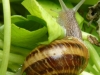 p1170477