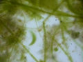 P1130379