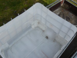 Aquaponics ABC fish tank