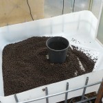 Grow bed filling