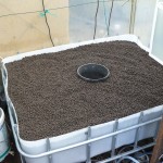 Grow bed filled