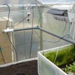 Temporary water supply