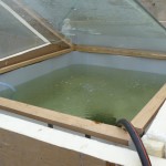 Filling of the new fish tank
