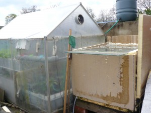 Fish tank behind greenhouse