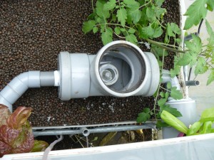 New auto siphon 2